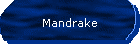 Mandrake